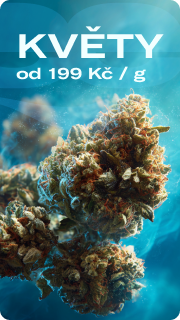 Květy od 199 Kč / g